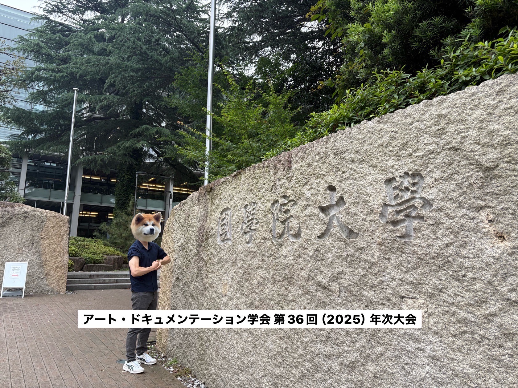metaakita