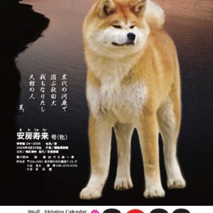 2026年版 秋田犬カレンダー（10月15日より発送）