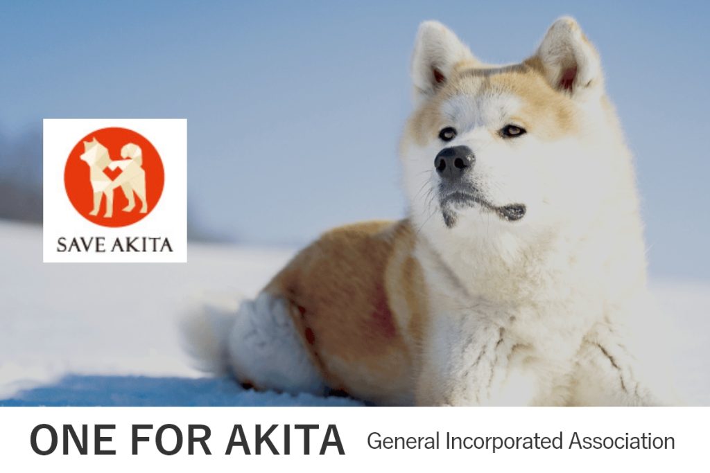 AKITA INU PRESERVATION SOCIETY – -The Birthplace of Akita Inu